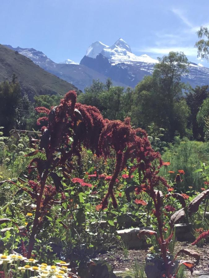 Intirumi Inn Caraz Exteriér fotografie